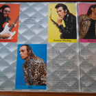 Roxy Music LP - pikkukuva 3