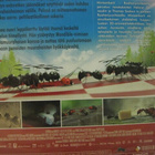 MINISANKARIT - RUOHONJUURITASOLLA DVD - pikkukuva 2