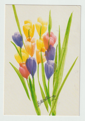 Birgit Marttinen: Tulppaanit  (R)