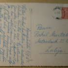 Kansanpukuiset leidit harjulla katsomassa järvelle, p. 1961 - pikkukuva 2