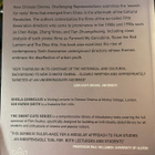 New Chinese Cinema - pikkukuva 2