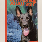 Opaskoiran joulu 2017 - pikkukuva 1