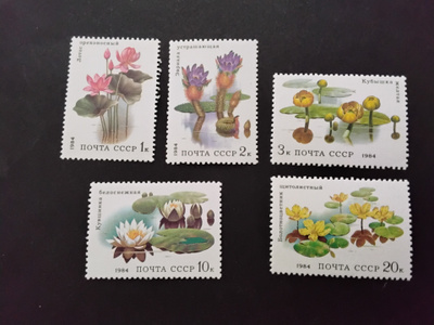 1984 cccp vesikasveja**
