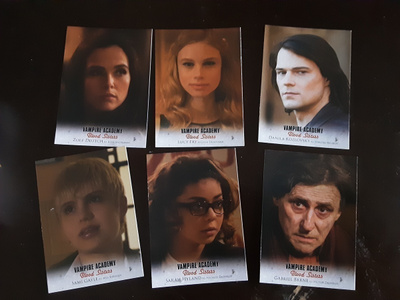 Vampire Academy kortteja (100)
