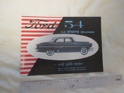 Fort 54 esite