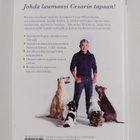 Cesar Millan : Koirakuiskaajan parhaat neuvot : opas onne... - pikkukuva 2