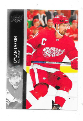 2021-22 Upper Deck #317 Dylan Larkin , Detroit Red Wings
