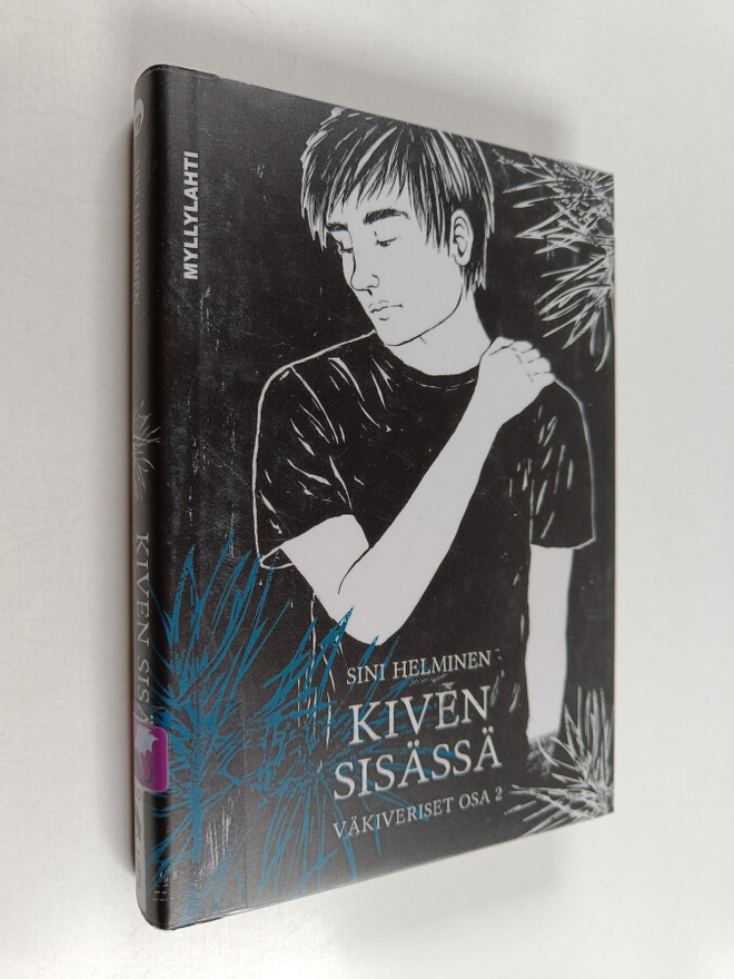 Sini Helminen : Kiven sisässä : vuoren kirja