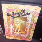 The Songs of David Bowie ( SIS POSTIKULU ) 1973 !!! - pikkukuva 1