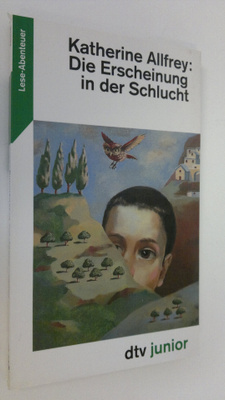 Maeve Binchy : Die Erscheinung in der Schlucht