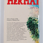 Hermann Hesse : Katoava kesä : kertomuksia - pikkukuva 2