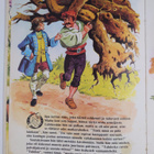Jacob Grimm : Kuusi voittaa koko maailman : Grimmin velje... - pikkukuva 3