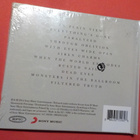 IN FLAMES - SIREN CHARMS UUSI CD - pikkukuva 2