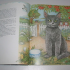 Kesäsaaren kissat (1.p. 1989) kissakirja - pikkukuva 4