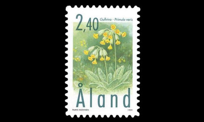 156 ** Kevätesikko (1999)