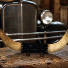 Amerikkalainen häränsarvi – keulakoriste (automobilia) - pikkukuva 1
