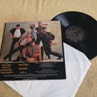 VILLAGE PEOPLE - Sex Over The Phone LP - pikkukuva 2