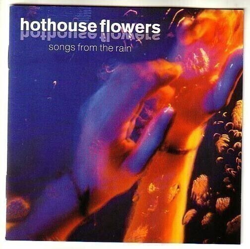 cd, Hothouse Flowers: Songs from the Rain [rock]