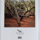 Charles Bryant ym. : Trees of cc africa : a photographic ... - pikkukuva 2