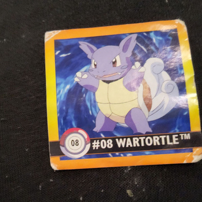 Pokemon #08 Wartortle tarra