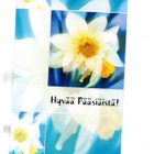 Kauniit narsissit...°°HYVÄÄ PÄÄSIÄISTÄ!°° -KORTTI /Kimalle - pikkukuva 1