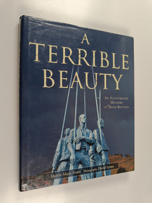 Martin Marix Evans : A Terrible Beauty