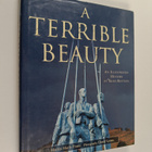 Martin Marix Evans : A Terrible Beauty - pikkukuva 1