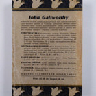 John Galsworthy : Pyhimys - pikkukuva 2