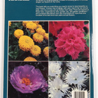 A. Cort Sinnes ym. : Color with Annuals - pikkukuva 2