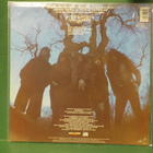 TESTAMENT - THE NEW ORDER EX+/M- EU -88 LP - pikkukuva 2