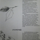 Arkkitehtitoimistot , piirustus ja suunnittelu - pikkukuva 3