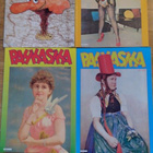 10 kpl Pahkasika - pikkukuva 2