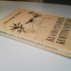 Sauli Jalmari: Ruohomaiden ruhtinaspari, v. 1924 - pikkukuva 1