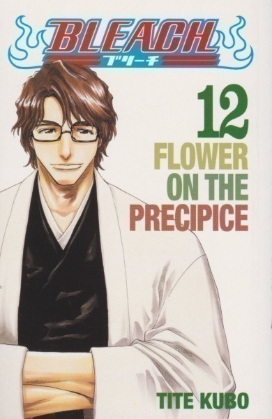 Tite Kubo: Bleach 12: Flower on the precipice