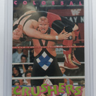 1994 Action Packed WWF Colossal Crushers #16 Tony Halme - pikkukuva 1