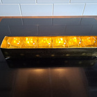 Snapsilasi,Seitsemän aurinkoa, Iittala - pikkukuva 3
