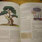 Dave Pike: Popular BONSAI (1991) Sis.postikulut - pikkukuva 4