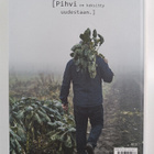 Martin Nordin : Vegeburgerit - pikkukuva 2