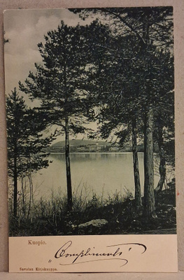 Kuopio: Rantamaisema o (527)