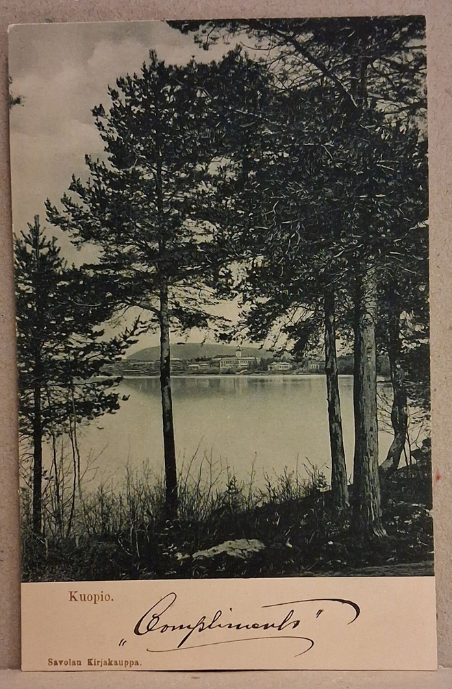 Kuopio: Rantamaisema o (527)