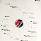 Nuori Voima Numero 1/2003 - Politiikka - pikkukuva 2