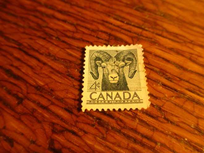 kanada pm joku lammas
