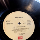 LP Jim Capaldi - pikkukuva 3