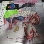 ETERNAL FLESH - WHILE I WAS COMMITTING MY.. LP M-/M- - pikkukuva 1