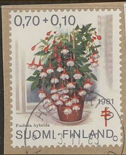 1981 tub 70p loisto