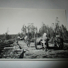 Sotilasvalokuva Jelettijärven huoltotie 1942v 11x8cm - pikkukuva 1