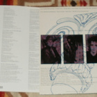 JASON AND THE SCORCHERS ~ Still Standing ~ LP - pikkukuva 2