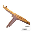 Uniikki akvaariojuurakko 68 cm | P222618 - pikkukuva 4