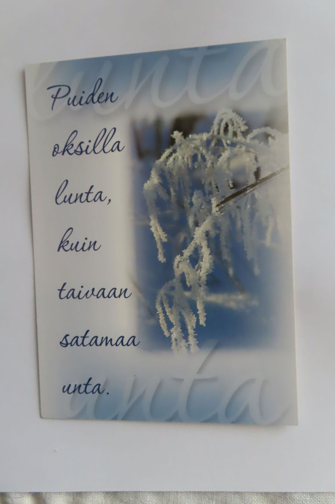 Puiden oksilla lunta, kuin taivaan satamaa unta