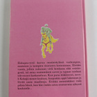Tellervo Riikonen : Punaisen talon kuopus : kertomus pien... - pikkukuva 2